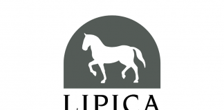 stud_farm_lipica