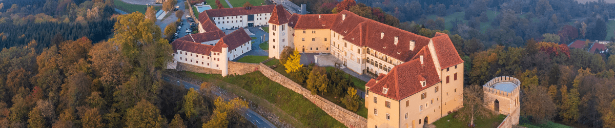 schloss_segau (1)