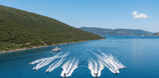 montenegro_dmc